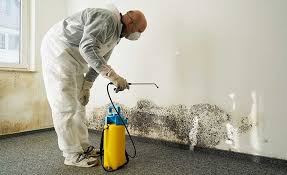 Best Emergency Mold Remediation in Hebron, PA